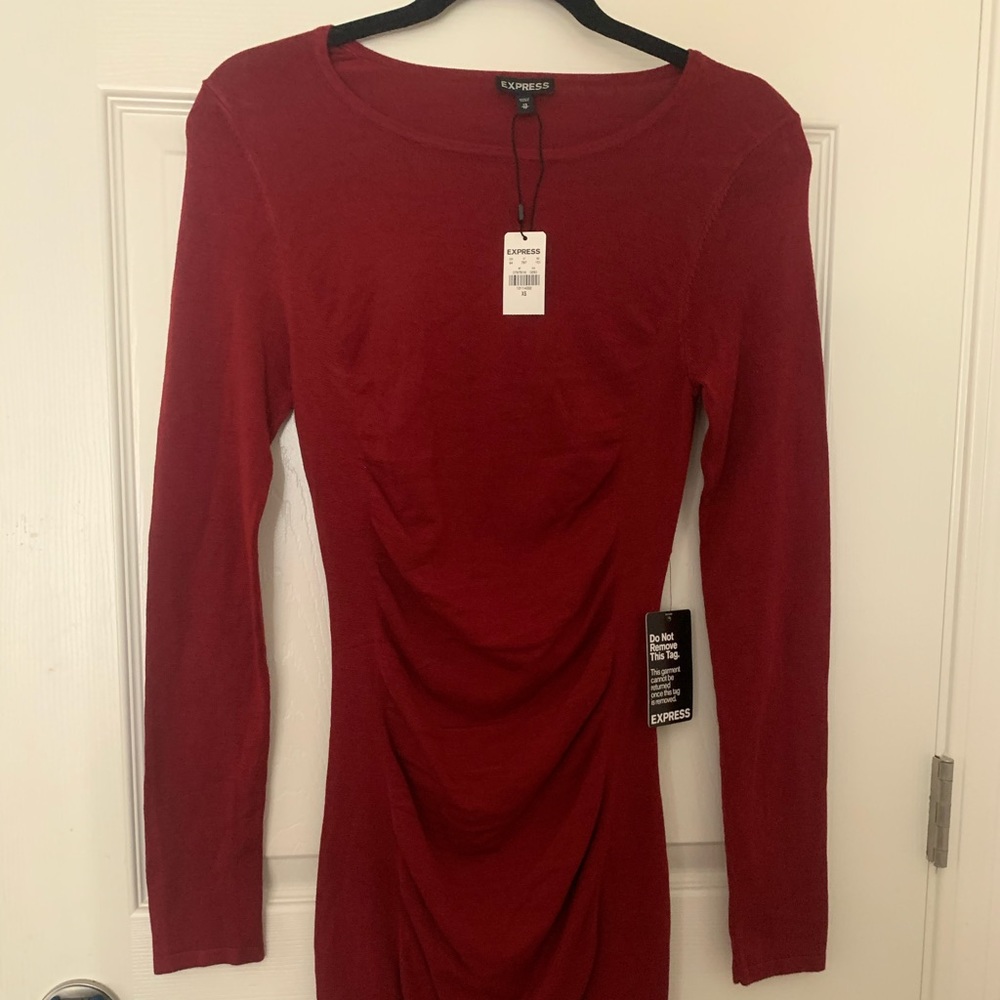 Express Burgundy Dress